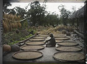 Image représentant Le séchage du riz dans une cour de ferme après la moisson