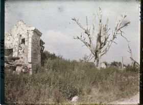 Image représentant France, Pinon, Ruines et Arbre mort