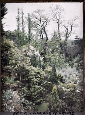 Image représentant Rocaille en pente du " jardin chinois ", ponctuée de conifères et proche du " sanctuaire japonais "
