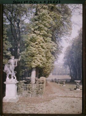 Image représentant France, Versailles, Parc de Versailles - Allée Conduisant au Bassin de Neptune