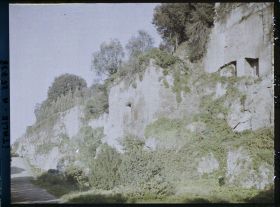 Image représentant Murs du Palatin