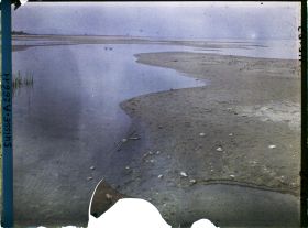 Image représentant Site palafittique préhistorique des Alpes, pieux en bois visibles lors de la baisse des eaux après la grande sécheresse de 1921 sur le lac de Neuchâtel