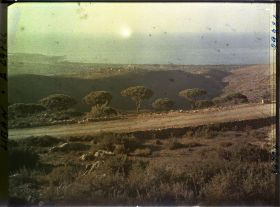 Image représentant Vue sur la baie de Beyrouth