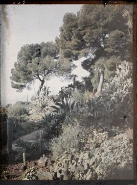Image représentant Cap Martin Le Jardin
