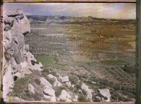 Image représentant Vue sur la plaine et les cultures d'oliviers