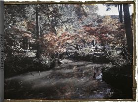 Image représentant Temple Eikan-dô Zenrin-ji