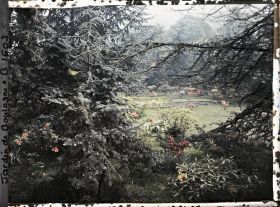 Image représentant Espace du marais en fleurs vu en direction du nord, entre deux arbres de la forêt bleue