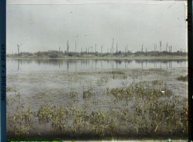 Image représentant Belgique, Hooghe, Etang de Bellewaarde