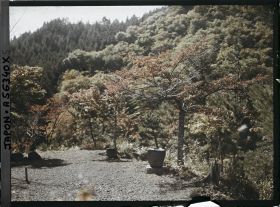 Image représentant Paysage près de Chuzenji sur la route Irohazaka