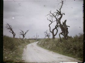 Image représentant France, Chaulnes, Les premières maisons de Chaulnes vues de la route Chaulnes Pressoir