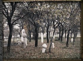 Image représentant Cimetière musulman