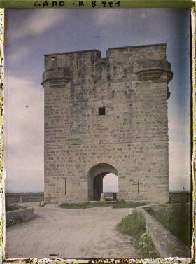 Image représentant La tour Carbonnière au milieu des marais