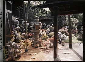 Image représentant Lanternes, bonsaïs et glycines fleuries, près de la porte d'entrée du " village japonais "