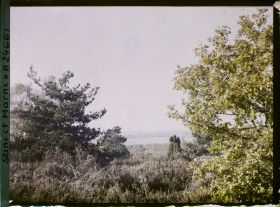Image représentant Forêt