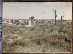Image représentant France, Beine, Le Village de Beine Coquelicots au 1er plan