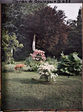 Image représentant jardins