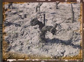 Image représentant France, Blanquefort, Cep : Cavernet-Sauvignon (20ans)