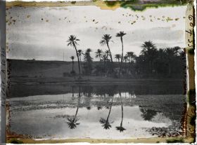 Image représentant Effet de lumière dans la palmeraie, le soir