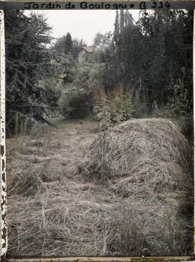 Image représentant Les foins dans la prairie à proximité du marais
