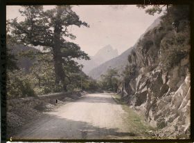 Image représentant France , Vallée D'Ossau, La route au Chêne de l'Ours