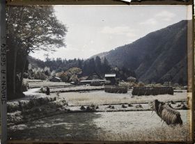 Image représentant Paysage de riziculture en période de moisson