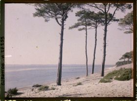 Image représentant France, Arcachon, Les bords du Bassin