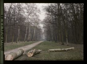Image représentant Une allée du parc