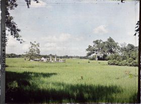 Image représentant Des rizières entourant un temple