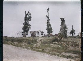 Image représentant Maurepas, Métros et arbres morts