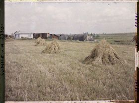Image représentant France, Barleux, Avoine et maisons provisoires