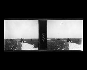 Image représentant Un troupeau de chameaux entre Nankou et Ming Shisanling ("Treize Tombeaux des Ming")