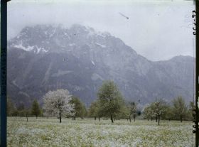 Image représentant Arbres et prairies fleuries dans la plaine d'Altdorf