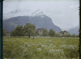 Image représentant Arbres et prairies fleuries dans la plaine d'Altdorf