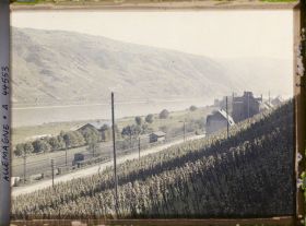 Image représentant Allemagne, Oberwesel, Vignes vers Caub