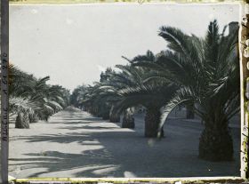 Image représentant Boulevard Polycarpe-Gros