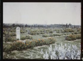 Image représentant France, Tombes de Musulmans au Cimetière anglais de la Chapelterie