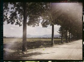 Image représentant France , Vallée D'Ossau, La Chaîne des Pyrénées vues de la route de Lannemezan