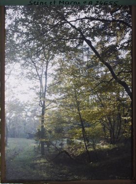 Image représentant Forêt