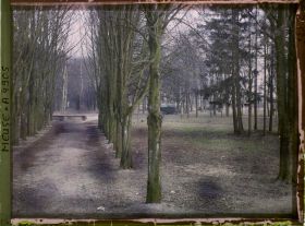 Image représentant France, Révigny, La vieille promenade (aspect vieillot)