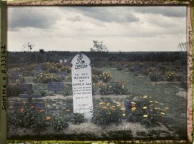 Image représentant France, Tombes de Musulmans au Cimetière anglais de la Chapelterie