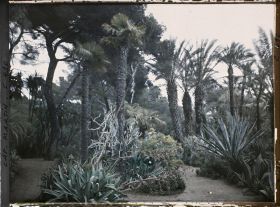 Image représentant Cap Martin Le Jardin