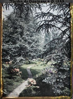 Image représentant Cèdres et azalées au bord du chemin qui serpente vers l'ouest près du marais et de la forêt bleue