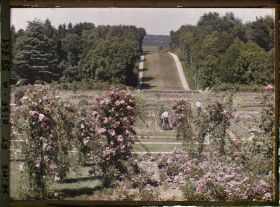 Image représentant Propriété de madame Douine