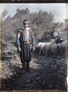 Image représentant Berger turc ou alawite