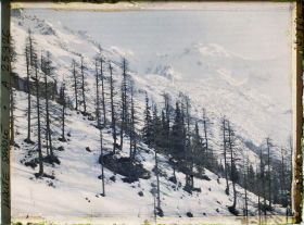 Image représentant France Les Alpes, Le Plan de l'Aiguille, Couloir de la Cornua, Mt Blanc, Dome et aige du Gouter, Glacier Supérieur des Bossons