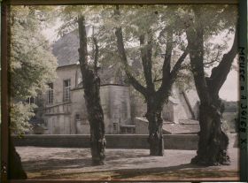 Image représentant France, Bar-le-Duc, Les tillleuls de la promenade de Paquis