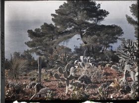 Image représentant Cap Martin - Le Jardin