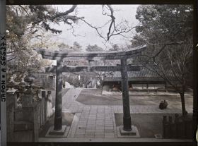Image représentant Sanctuaire Kotohira-gu (ou Konpira-san) : torii