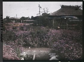Image représentant Parc Horikiri-shobuen