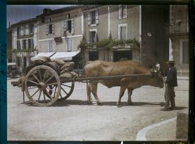 Image représentant France, Luzech, Un b?uf attelé et charrette portant le vin de Cahors